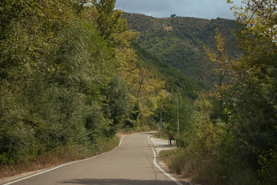 Carretera rural entre laderas de monte y arbolado